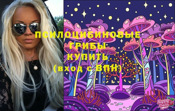 шишки Володарск