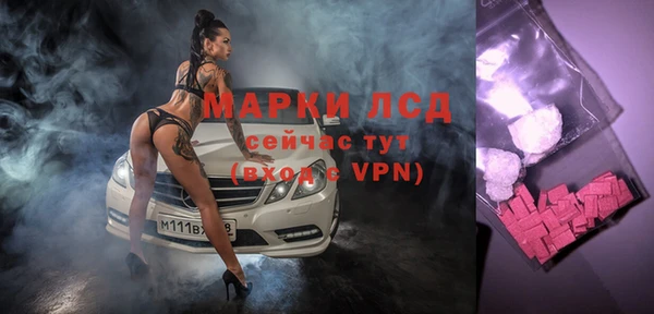 шишки Володарск
