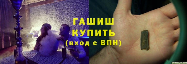 сатива Волоколамск