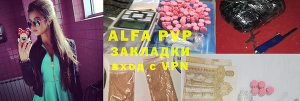 сатива Волоколамск