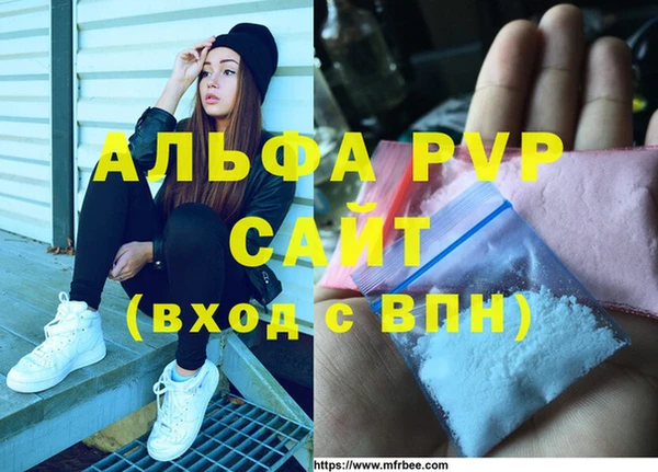 шишки Володарск