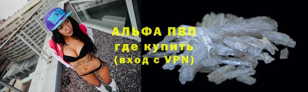 шишки Володарск