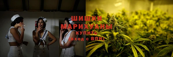 PSILOCYBIN Вязьма