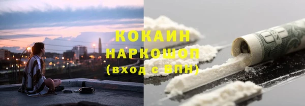 сатива Волоколамск