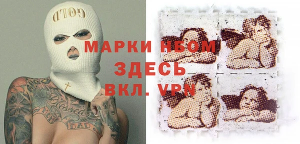 сатива Волоколамск