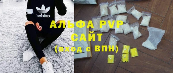 PSILOCYBIN Вязьма