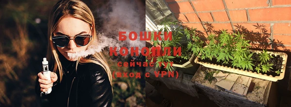 сатива Волоколамск