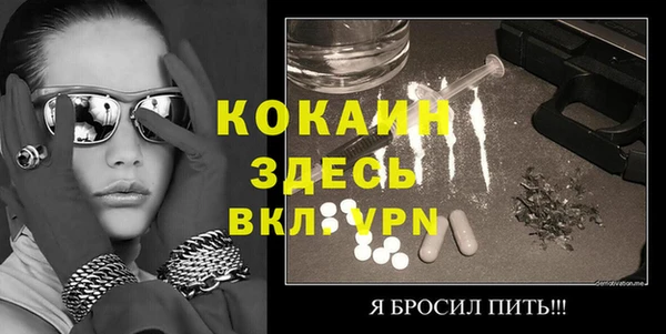 сатива Волоколамск