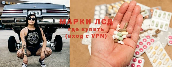 шишки Володарск
