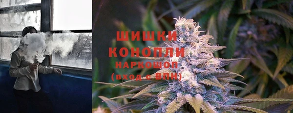 сатива Волоколамск