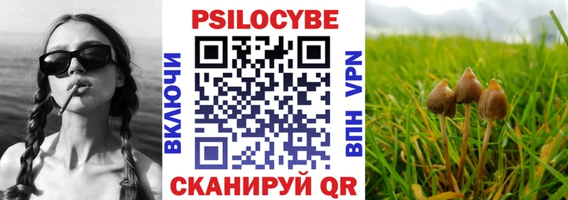 Псилоцибиновые грибы GOLDEN TEACHER Зарайск